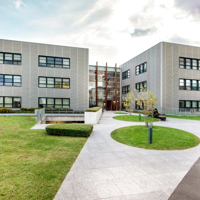 commercial paving of a building